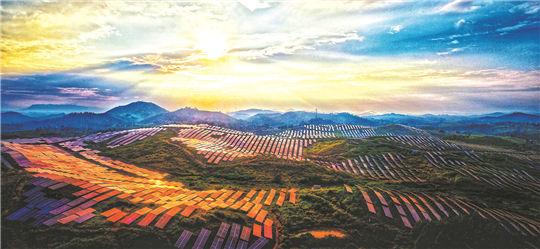 南有新田交出了一份新答卷