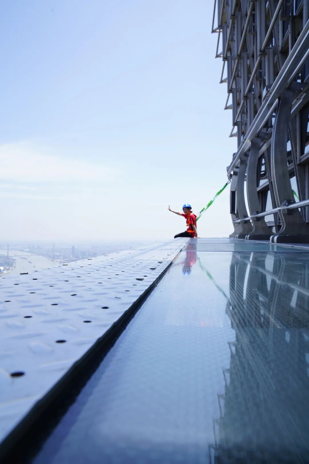 漫步云端俯瞰魔都rua超萌海豹宝宝这个女神节可以这样宠爱自己