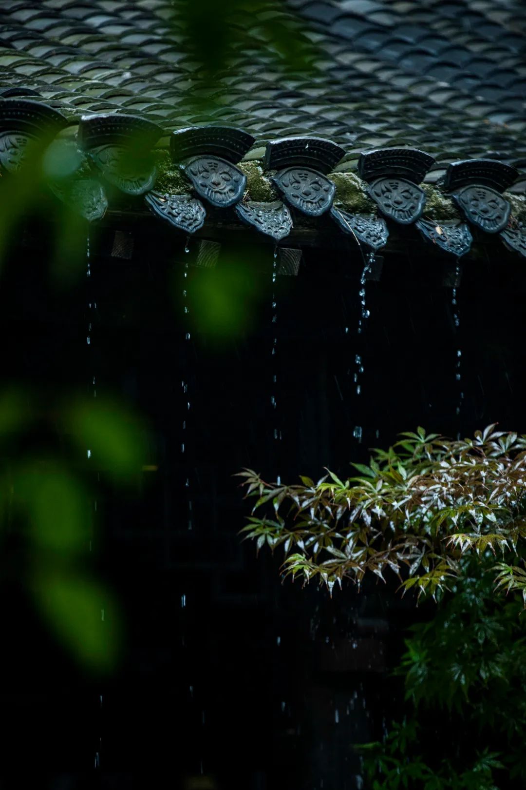 江南水乡烟雨朦胧图片图片