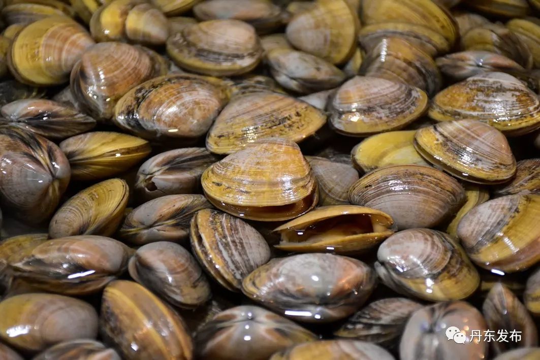 中欧地理标志协定昨日生效东港大黄蚬子榜上有名