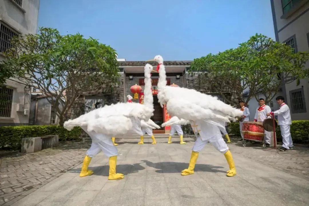 三灶鹤舞图片图片