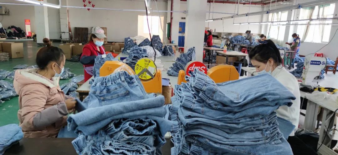 牛年说牛来宾产牛仔裤远销韩国