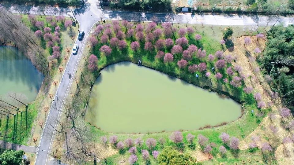 新增绿地面积32公顷;建设鹅羊山公园,洪山体育公园,青竹湖森林公 