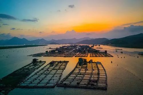 地方福建霞浦探索民宿发展新模式助推乡村振兴大提速