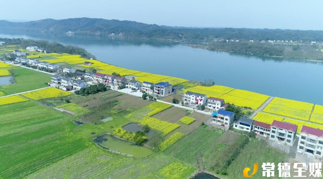 沅澧百镇千村行桃花源桃仙岭街道家门口有景色村庄里秀风光