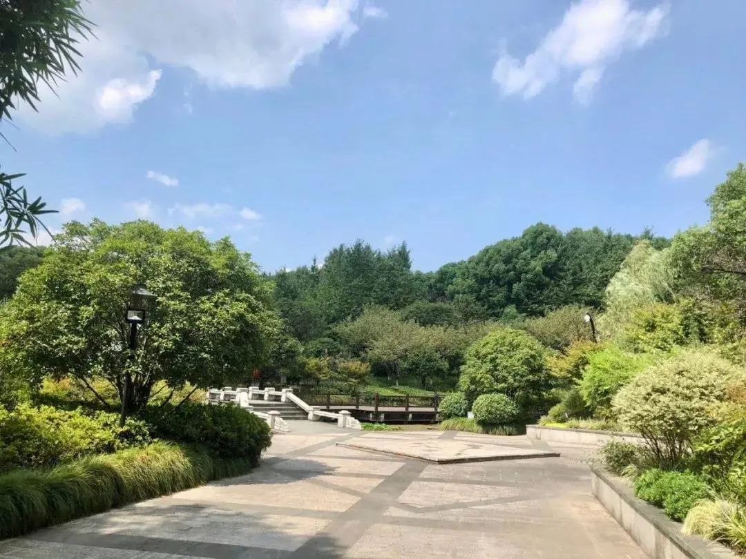 高教東公園