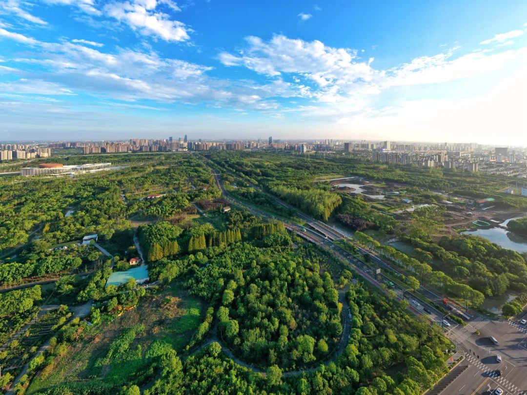 我们带外国留学生去了趟九棵树,他们眼中的奉贤原来是这样的!