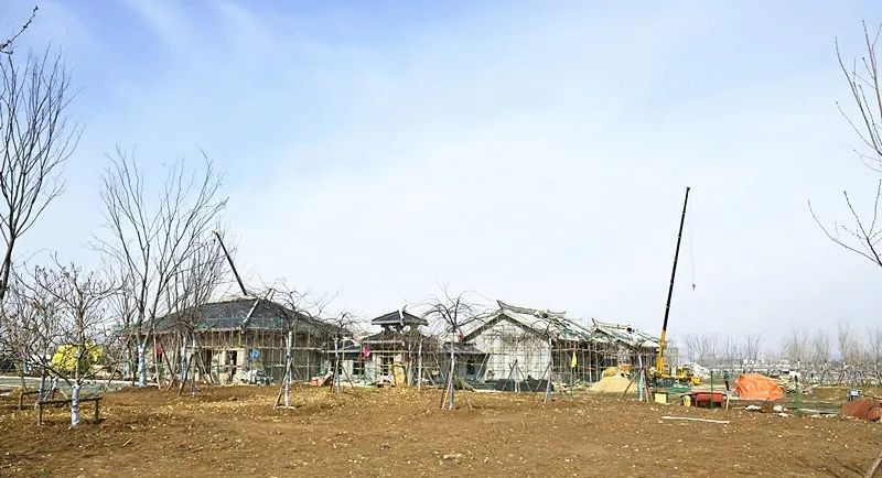 解憂湖公園五一開園