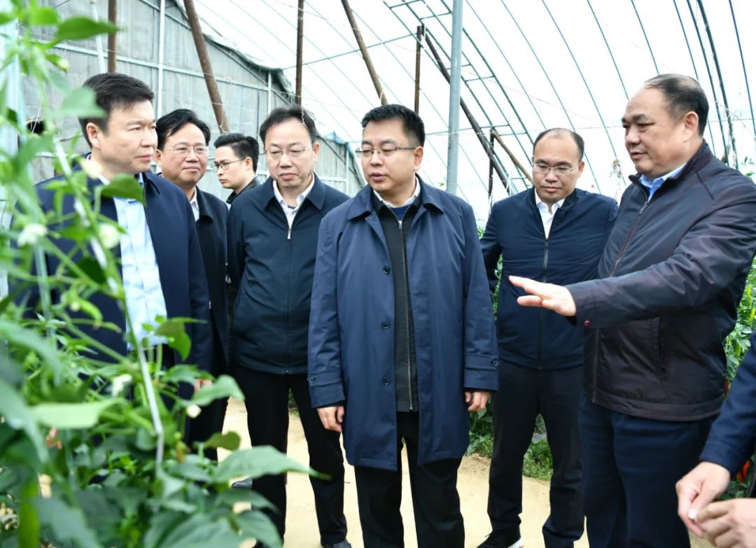 许南吉在瑞金调研