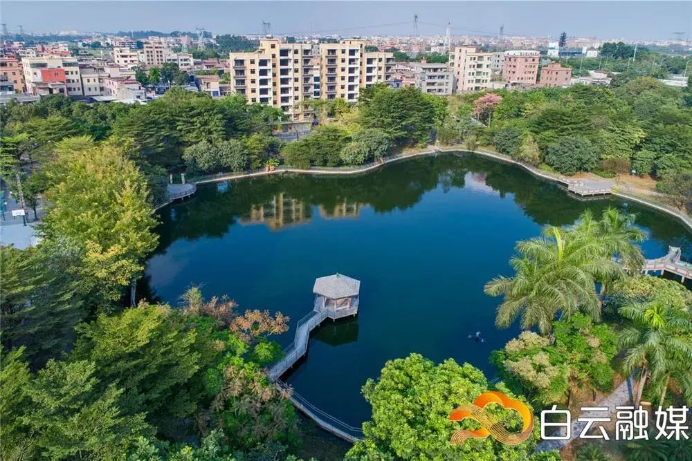 2021年人和镇要怎么干这个会议明确了