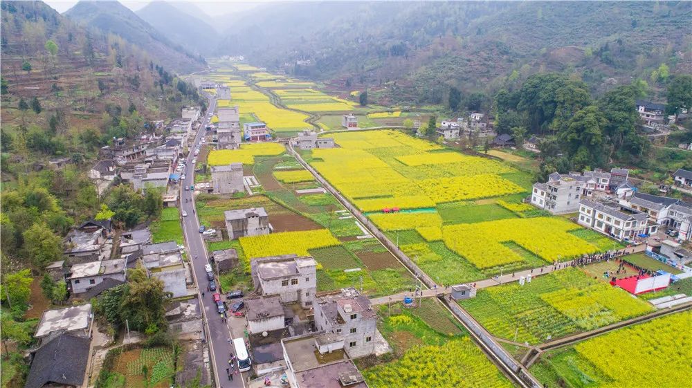 纳雍百兴镇飞机场图片