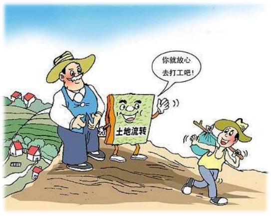 典型案例丨宜宾市南溪区某村与宜宾市某公司等农村土地承包合同纠纷案