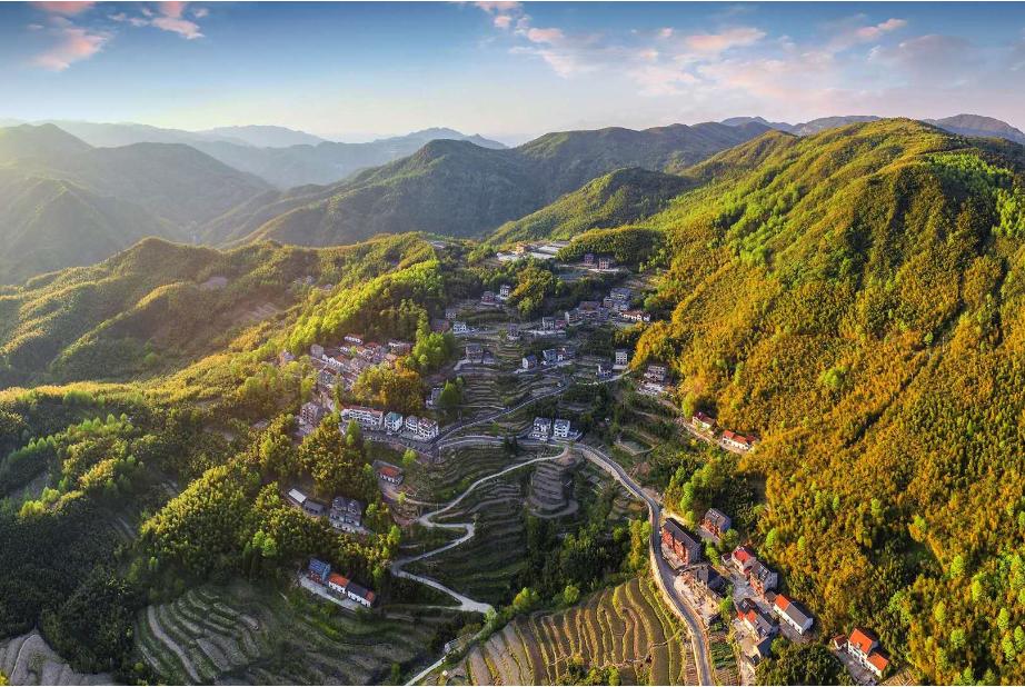 关注| 最全花期表,踏春赏花安排起来!_政务_澎湃新闻-the paper