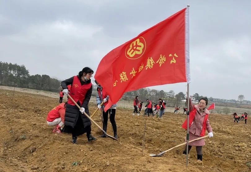 庆三八怀宁县各乡镇妇联组织开展三八国际妇女节纪念活动