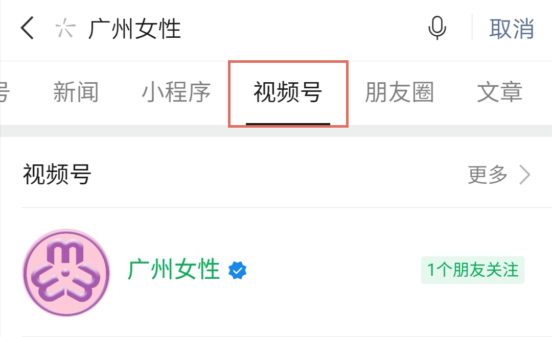 羊城巾帼绽芳华⑥·致敬篇 | 高恬波:广东省第一位女共产党员_澎湃号·政务_澎湃新闻-The Paper