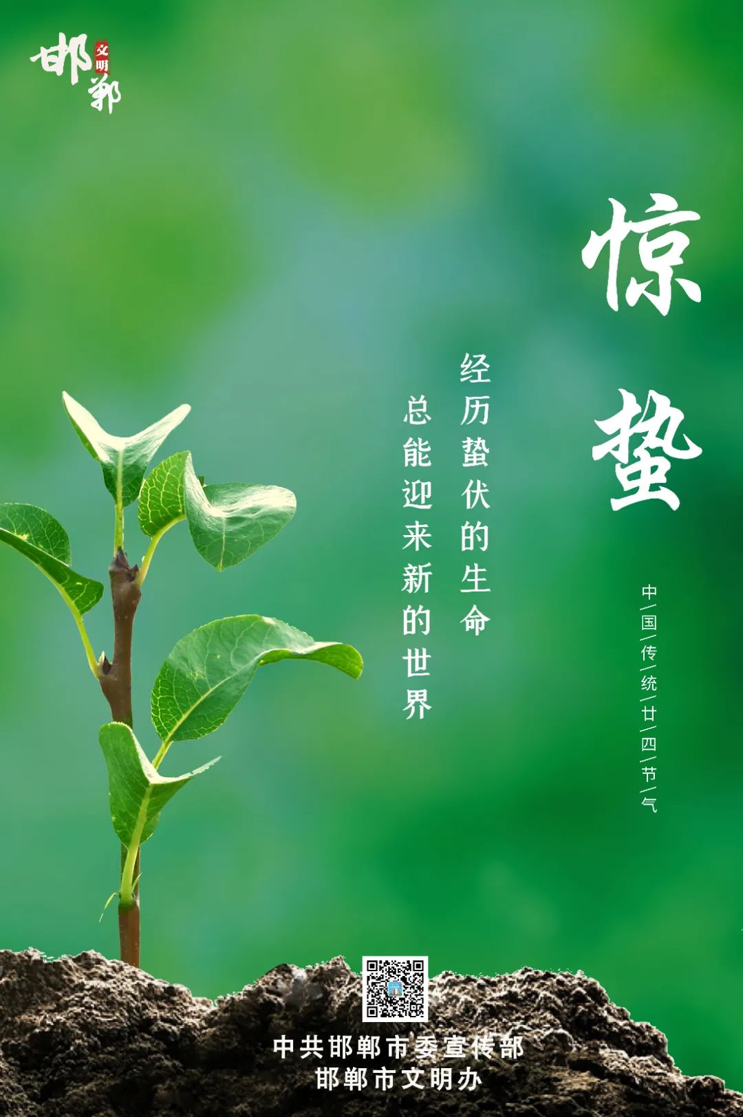 今日惊蛰春雷响万物长