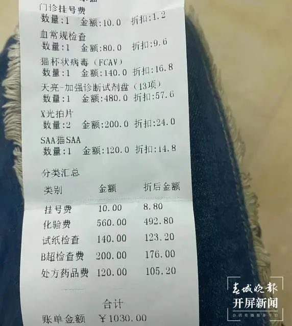 给小猫看病的账单