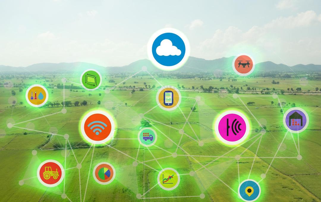 连线北京全国人大代表罗卫红数字乡村建设激活全面小康时代乡村振兴新