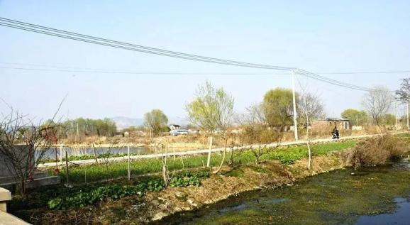 韩可赴紫庄镇塔山镇调研