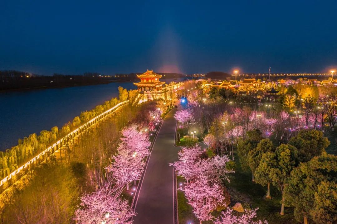 趣野餐品美食,赏夜樱,观巡游,1717不久后,大洋湾樱花小镇的早,中
