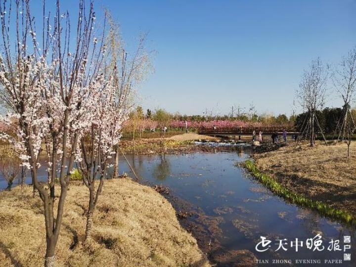 驻马店湿地植物园位置图片