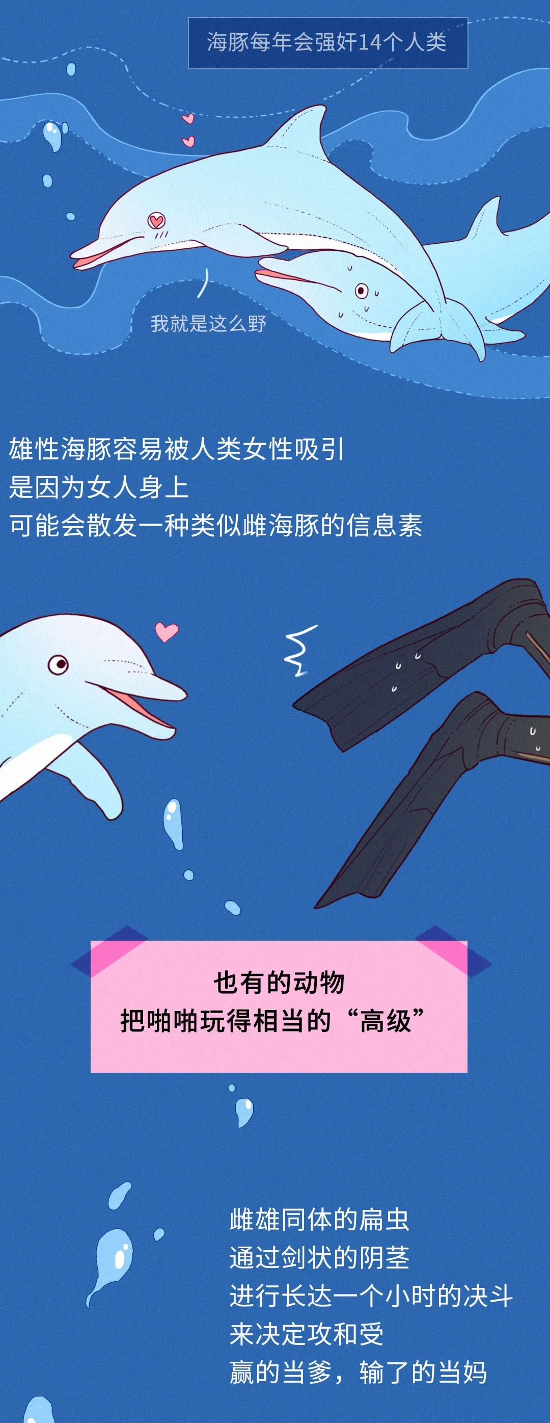 动物们究竟有多野?