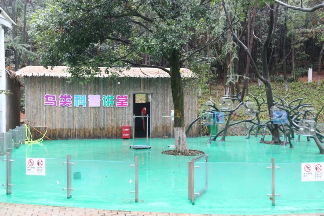 光明蝶谷飞鸟乐园今日开园还有免费门票等你来拿