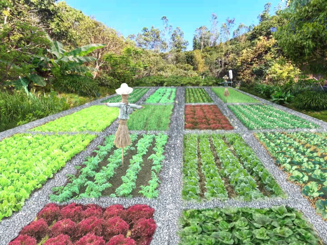 在最美花海间鹤道菜园位于木头冲鹤道花海已建成开放并正式公开认筹