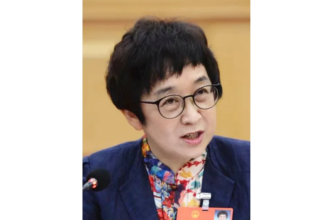 全国人大代表杨松:加快推动政法机关数据共享