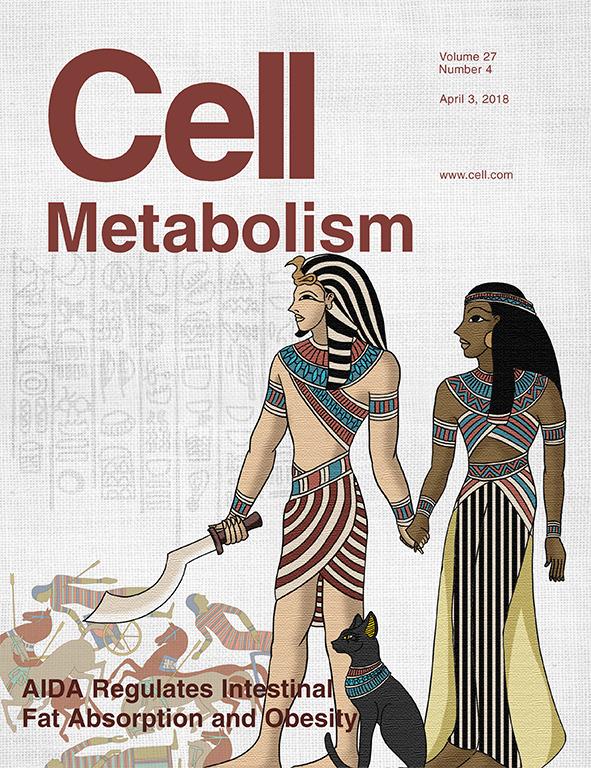 学术前沿林圣彩团队揭示神经刺激下身上暖宝宝棕色脂肪的发热原理