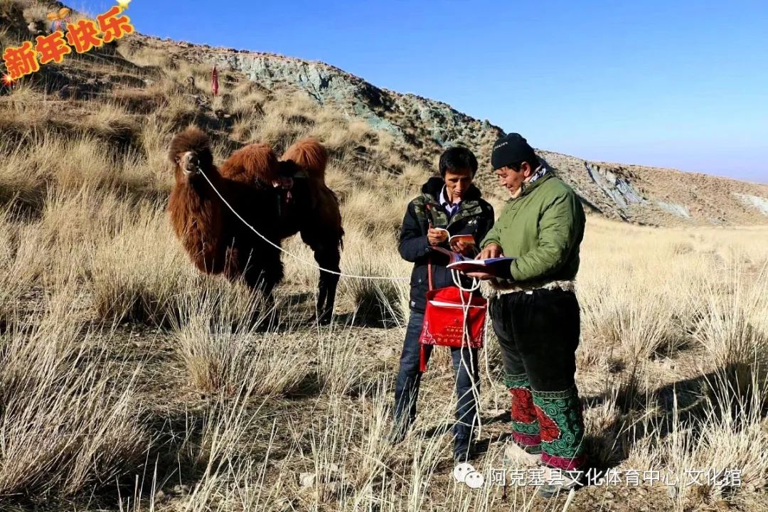 文化新观察·年度文化亮点｜在扎根人民中感受文学创作新趋势