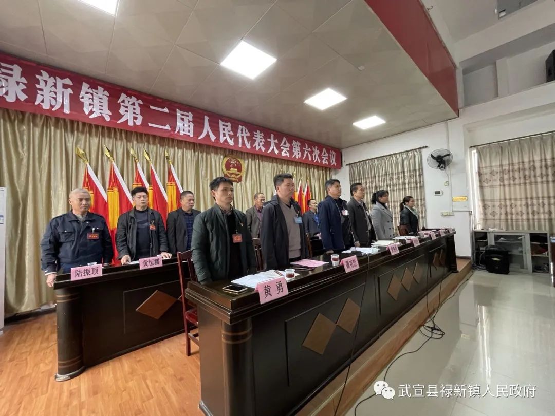 禄新镇第二届人民代表大会第六次会议顺利闭幕
