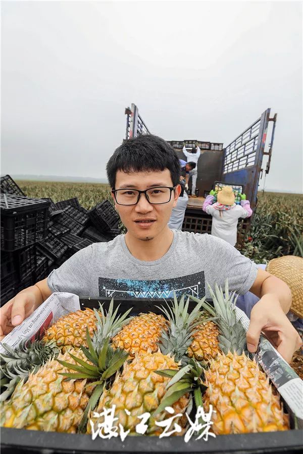顶级菠萝在湛江徐闻菠萝产量惊到台湾名嘴