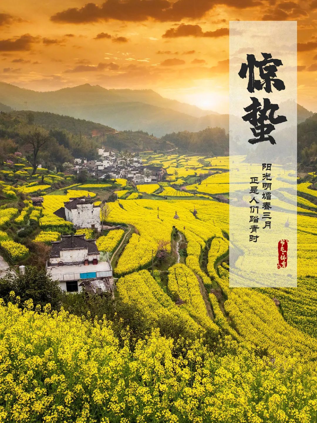 节气惊蛰万象更新生机盎然