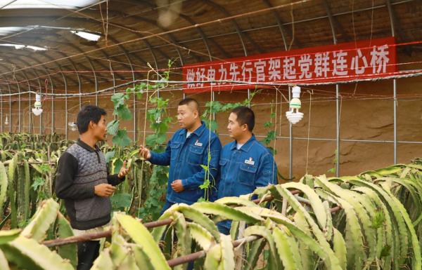 田鹏(左二)在种植大棚中了解蔬菜瓜果长势及销售情况。