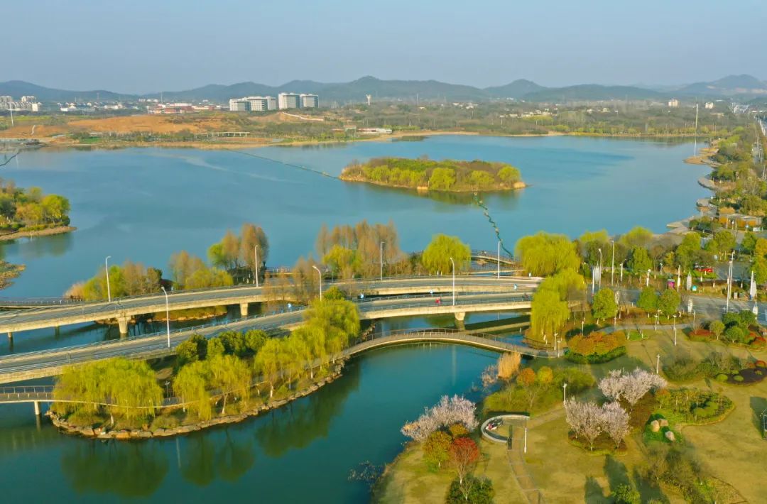 一湖春色"秀"满城