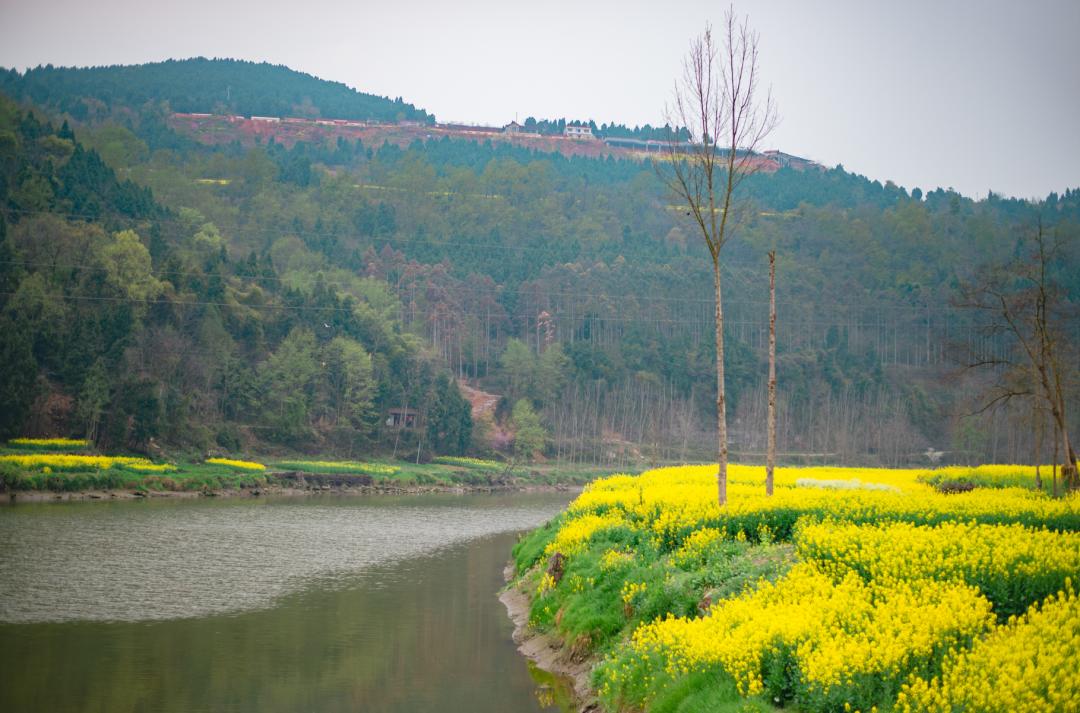 花开德阳花季凯江走起来双东花儿唱起来
