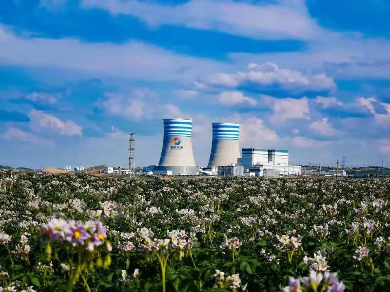 横山煤炭破茧而出迎来黄金十年