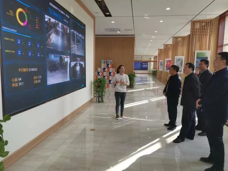 实地调研中国农业数字发展中心执行主任葛启胜一行先后到新天地黑牛