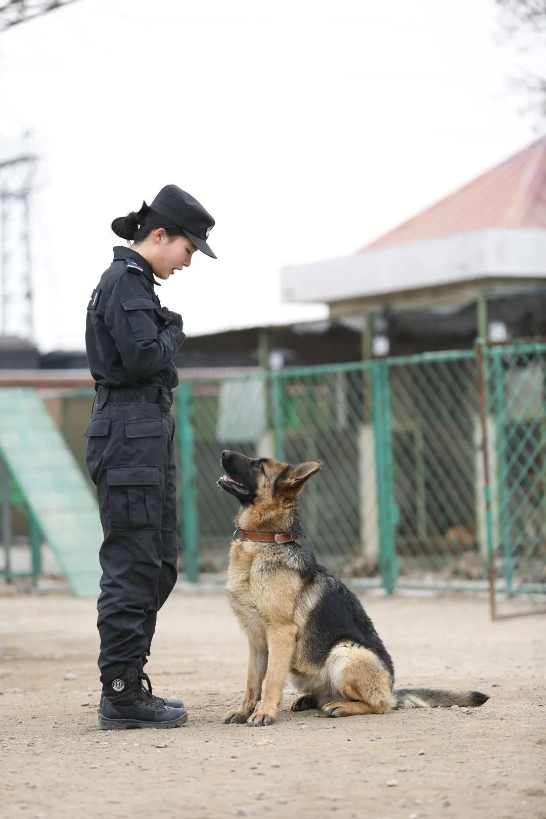 美女生物生变身成为优秀警犬训导员