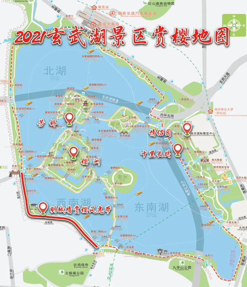 南京玄武湖樱花初绽收下这份赏樱地图