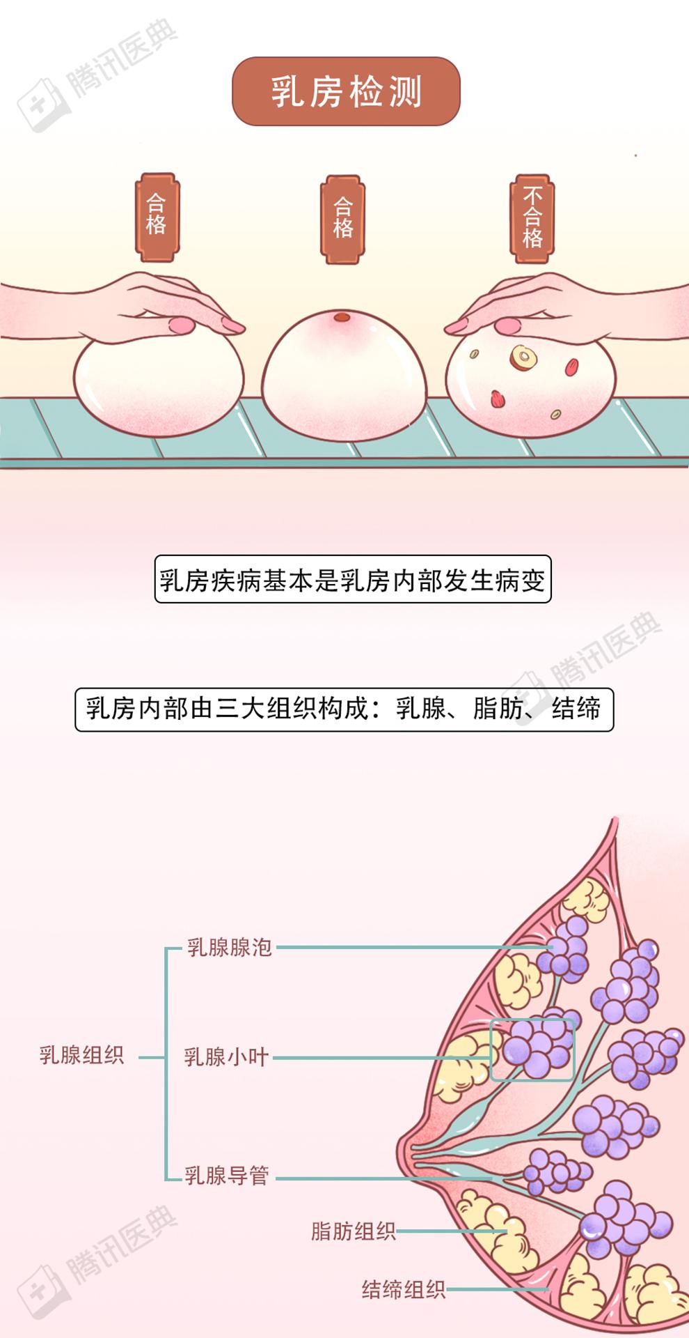 乳腺保養的5個秘密, 你以前可能搞錯了