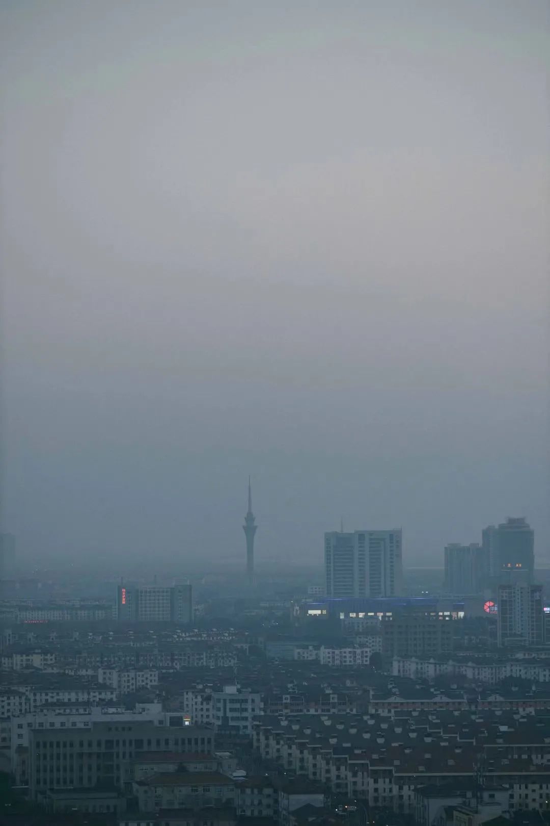 966.jpg
