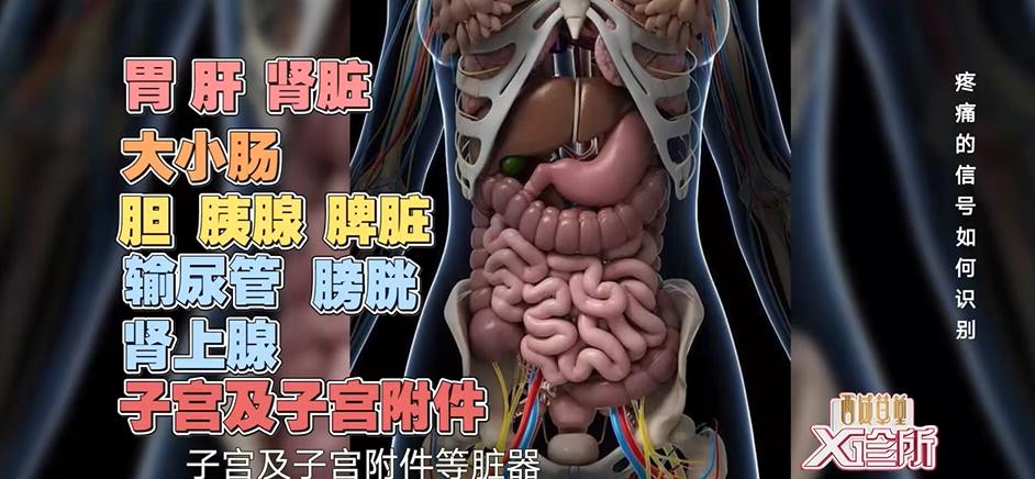 哪一些肚子疼需要去看医生带你了解