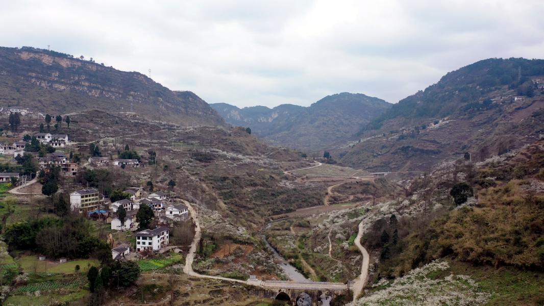 修文蜈蚣桥村鸟语花香背后的经济帐