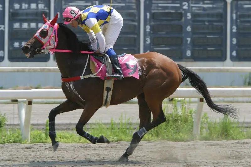 剧情中有一场长途赛,正常来讲," 春乌拉拉 " 这个擅长跑短途的赛马娘