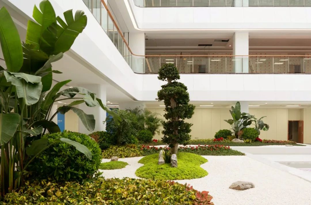 62万平方米绿地逛着花园把病看附一医院滨海院区打造花园式医院