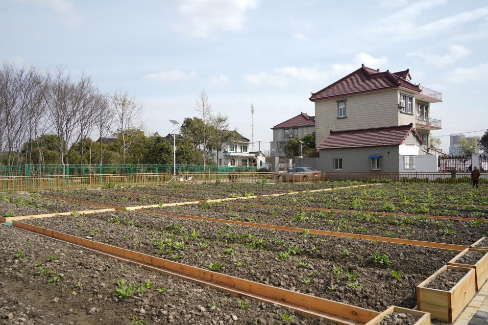 方夏小菜园上新了不争气的口水从嘴角流下