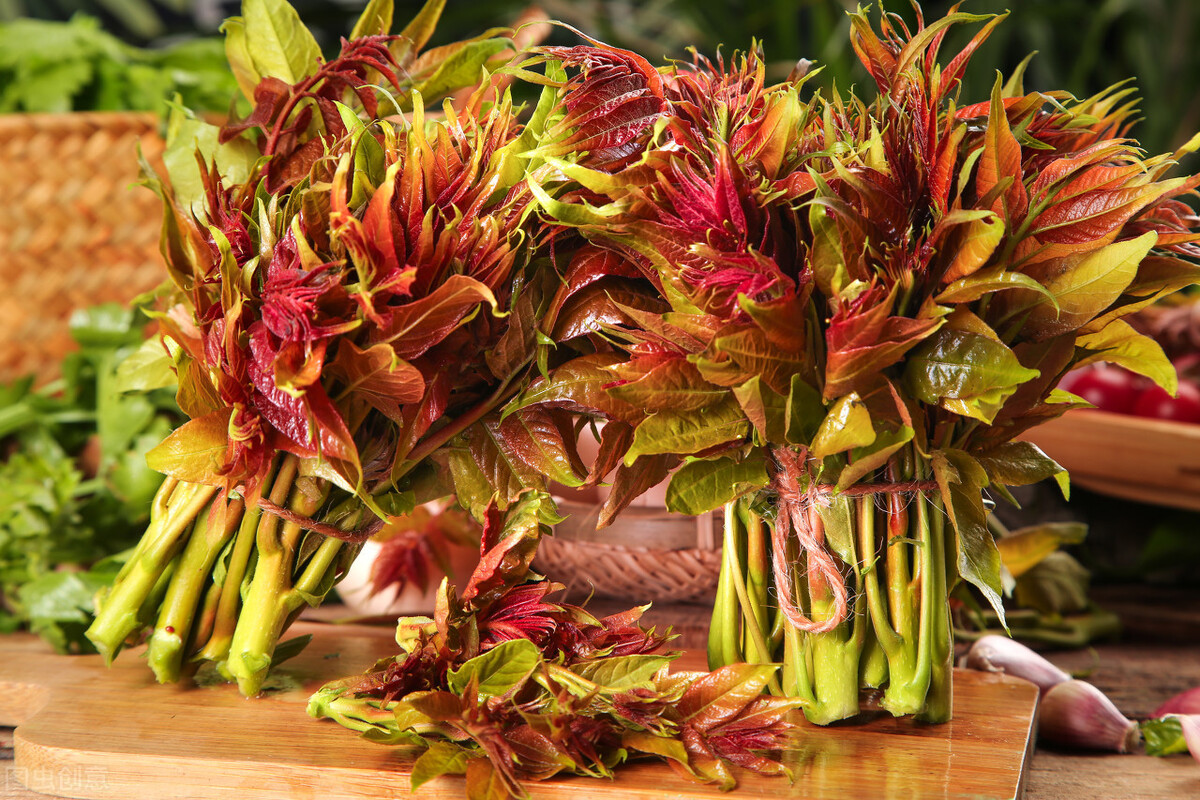 香椿，“红”了500年的时髦春菜