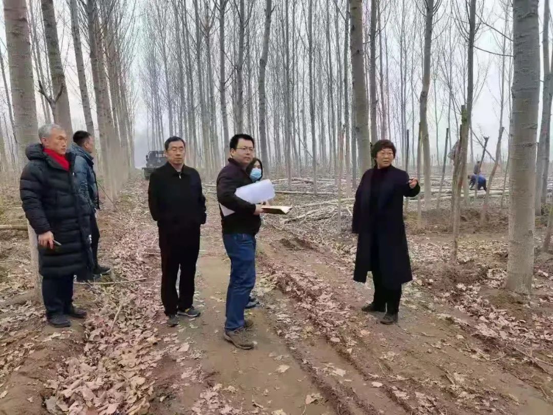 3月8日3月8日下午,县政府副县长闫明杰实地督导中心码头,新建改建王家